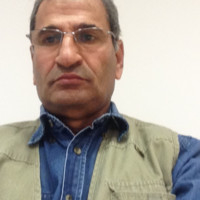 Emad Sayed Email