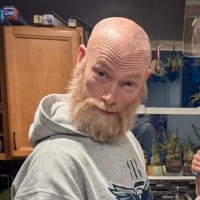Robert Lingstuyl Email & Phone Number