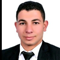 Mohamed Sayed Email