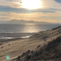 George J. Igel & Co., Inc. Employee Matthew Check's profile photo