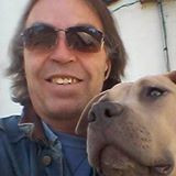 Mark Farley Email & Phone Number