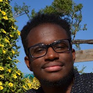 Lwendo Mwansa's profile photo