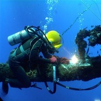 Pro Dive Employee I.m.'s profile photo