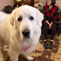 RREACH | Ramesh Richard Evangelism And Church Health Employee Eric McNeil's profile photo