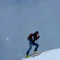 ESTEL Group Employee Luca Adamoli's profile photo