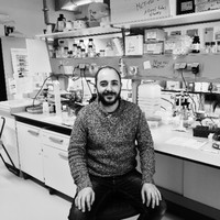 Universidad de Santiago de Compostela Employee Miguel Fidalgo's profile photo