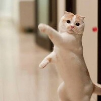 Value Investment Center Employee W Young's profile photo