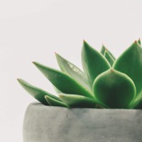 Kanoksilp Jindadoungrut's profile photo