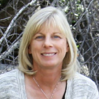 Sandy O'Meara Email & Phone Number