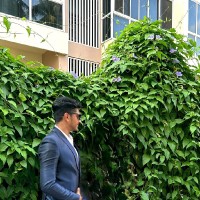 Muhammad Muhsin Email