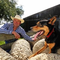 XytoVet Pty Ltd Employee Jack Briscoe's profile photo