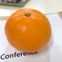 this is engineering Inc. Employee Sun Lee's profile photo