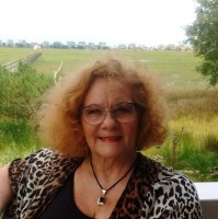 Fox Marketing Employee Kim Fox's profile photo