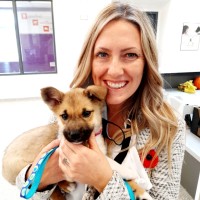 The Ontario SPCA and Humane Society Employee Ashleigh Hughes's profile photo