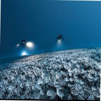 Boris Huberman Email