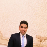 Ahmed Gamal Email & Phone Number