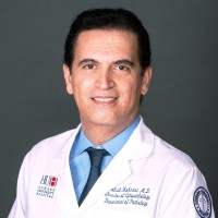 Email e telefono di Babak Shokrani