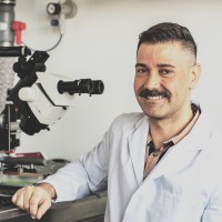 Leibniz Institute for Neurobiology Employee Moises dos Santos Correa's profile photo