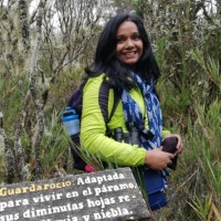 Bindu Raghavan Email & Phone Number