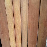 Frank Mora Email & Phone Number