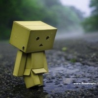 Rehana Kousar's profile photo