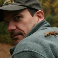 Broadcom Inc. Employee Daniel Hess's profile photo