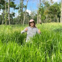 Bergen's Greenhouses, Inc. Employee David Alberto Florian Vargas's profile photo