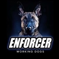 Enforcer Working Dogs, LLC Employee Michael Peluso's profile photo