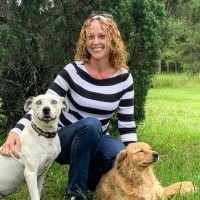SafeTech-USA Employee Sommer Murdaugh's profile photo