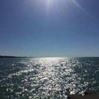 Scott Spainhower Email & Phone Number