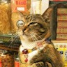 Hill Holliday Employee Chris Pinkham's profile photo