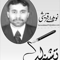 Naveed Alam's profile photo