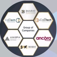Cabtech Engineering LLP Employee Ankit Lakhtaria's profile photo