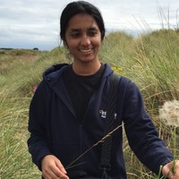 MindMeld, Inc Employee Varsha Embar's profile photo