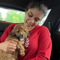 Nisha Jain's profile photo