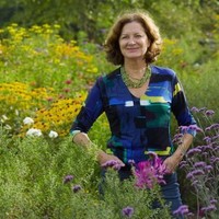 Julie Messervy