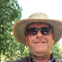 David Simoni Email & Phone Number