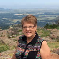 Fowler Automotive Employee Jan Gough's profile photo