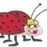 Ladybug Crossing Email & Phone Number