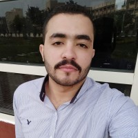 Mahmoud Ghonem Email