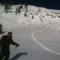 Jackson Hole Mountain Resort Employee David Strawser's profile photo