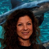 Jennifer Kemmerly Email & Phone Number