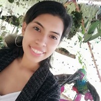 Ciplast Perú SAC Employee Ayde Llosemi Romero Diaz's profile photo