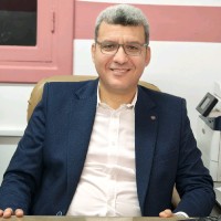 Ayman Heakal Email