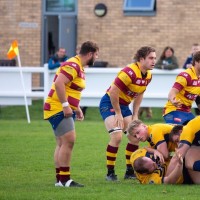 London Scottish RFC Employee Alex Linscer's profile photo
