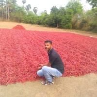 Eastern Condiments Pvt Ltd Employee John Thomas's profile photo
