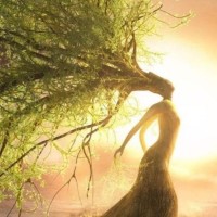 Ello Employee Roshal Malik's profile photo