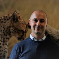 SIMPLEX RAPID Employee Umberto Boschiero's profile photo