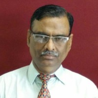 BGR Energy Systems Employee Krishna Saxena's profile photo