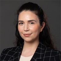 Stokes Wagner Employee Dina Issagholi's profile photo